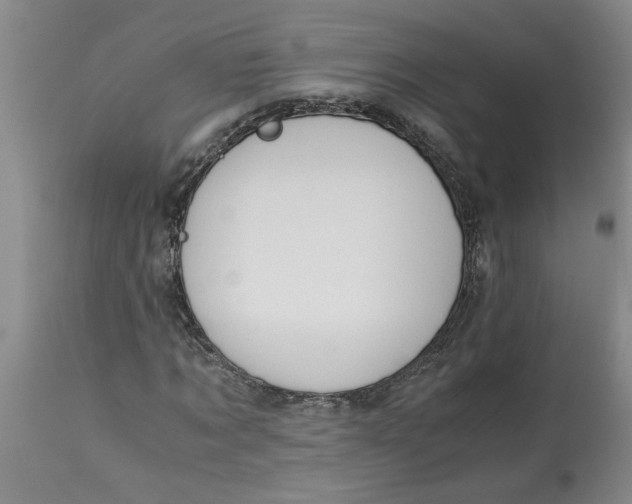 X0000113170869200909251414