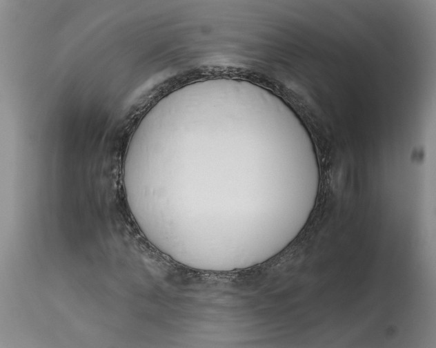 X0000113170870200909251414