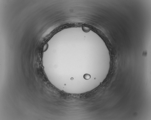 X0000113170871200909251414