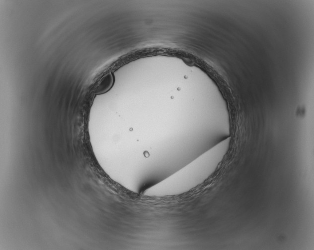 X0000113170872200909251414