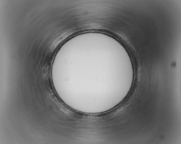 X0000113170873200909251414