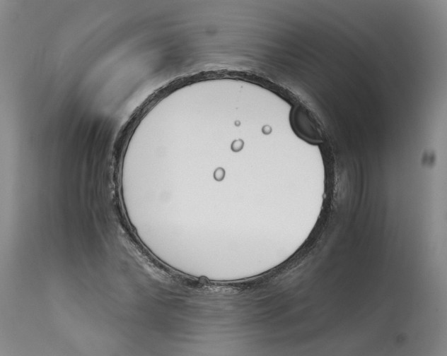 X0000113170878200909251414