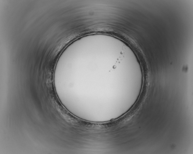 X0000113170881200909251414