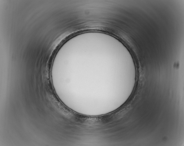 X0000113170883200909251414