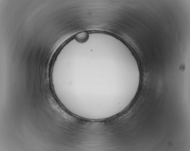 X0000113170884200909251414