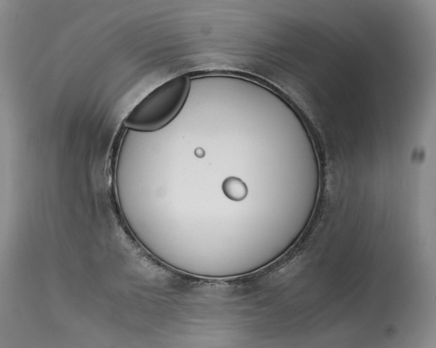 X0000113170885200909251414