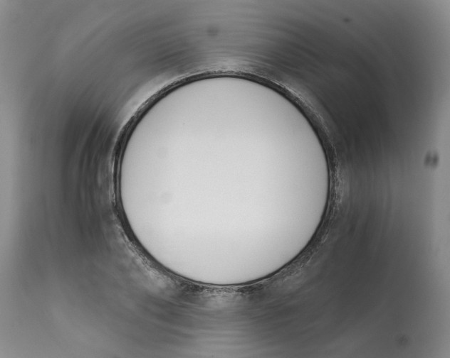 X0000113170886200909251414