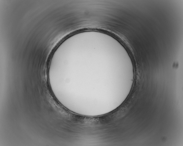 X0000113170887200909251414