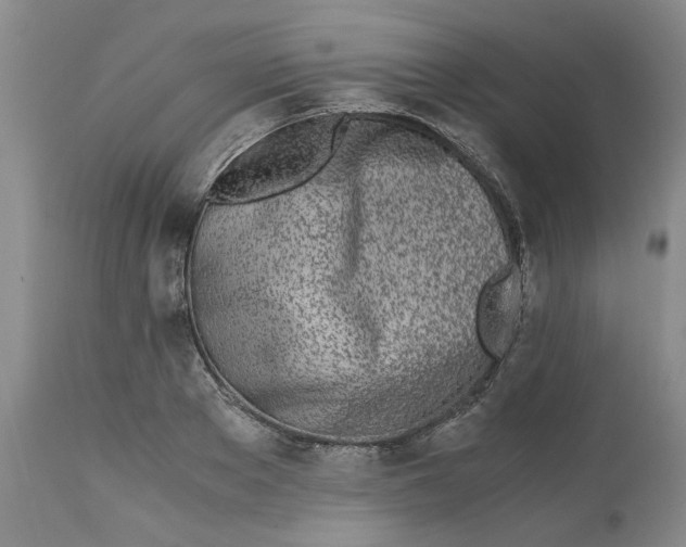 X0000113170889200909251414