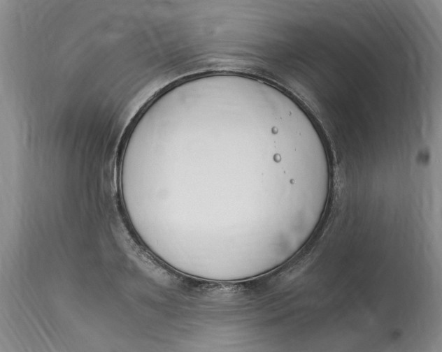 X0000113170891200909251414