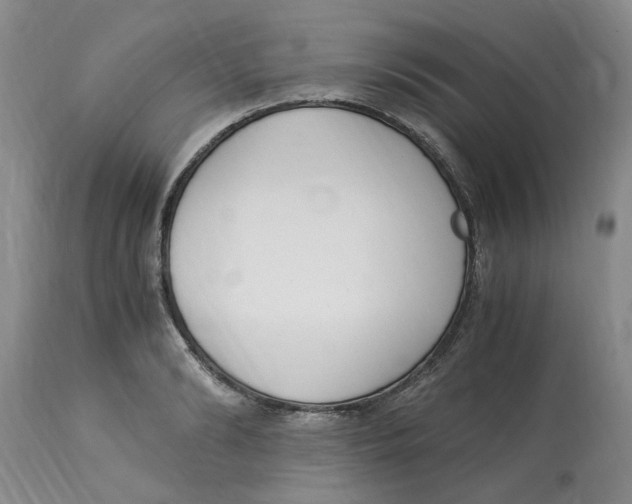 X0000113170894200909251414