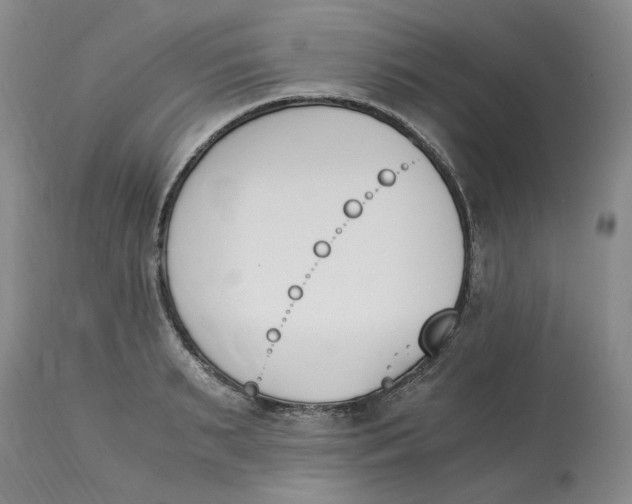 X0000113170895200909251414