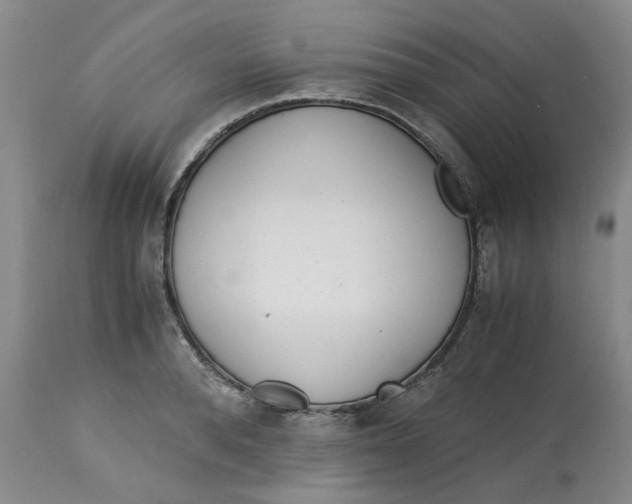 X0000113170896200909251414