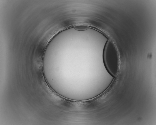 X0000113170897200909251414