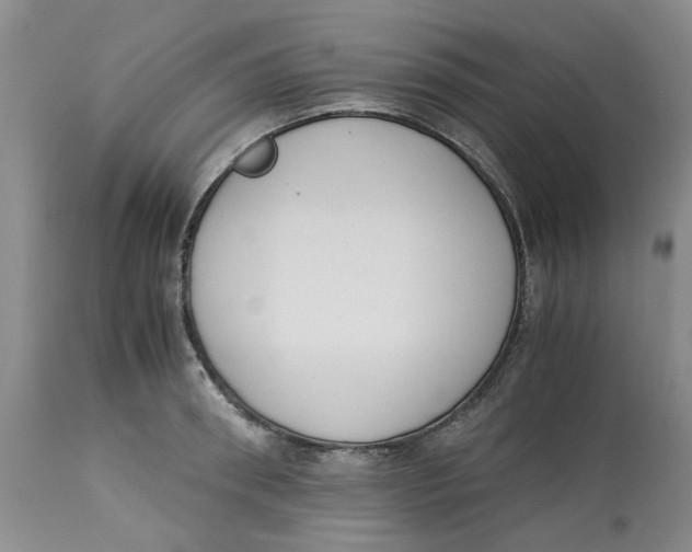 X0000113170898200909251414