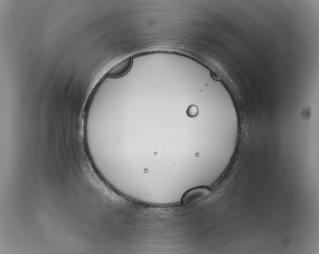 X0000113170900200909251414