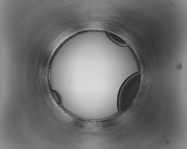 X0000113170901200909251414