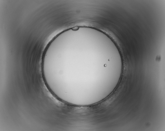 X0000113170902200909251414