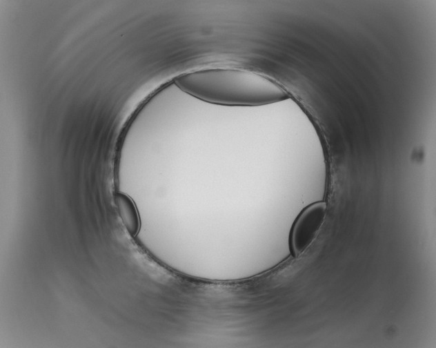 X0000113170904200909251414