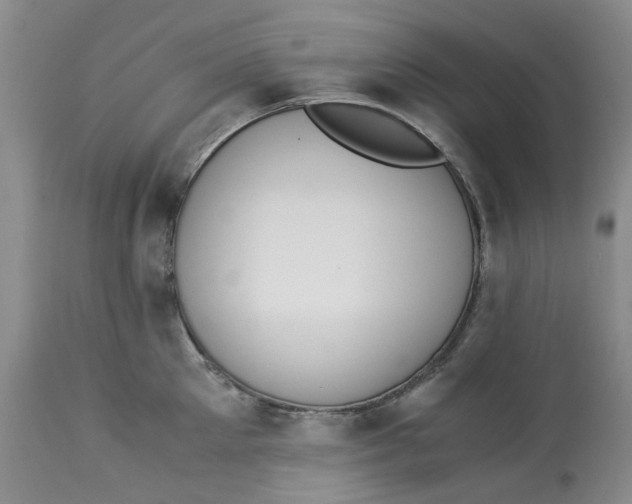 X0000113170905200909251414