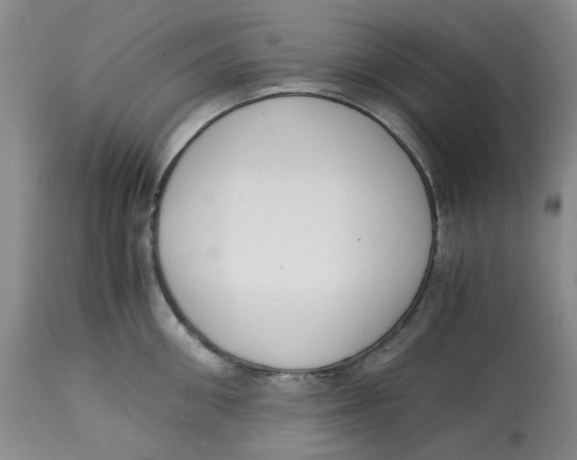 X0000113170906200909251414