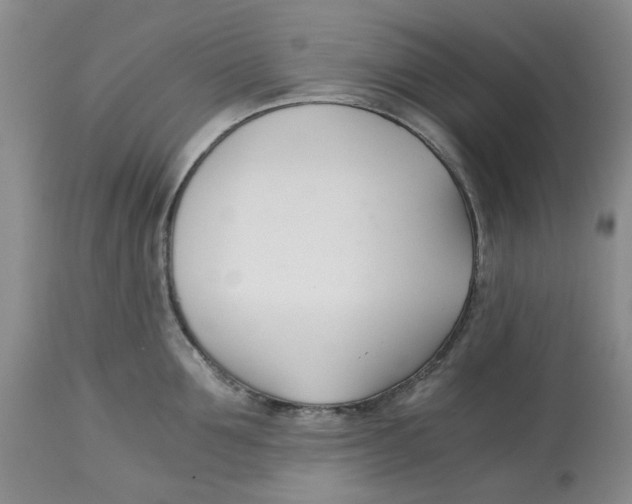 X0000113170907200909251414