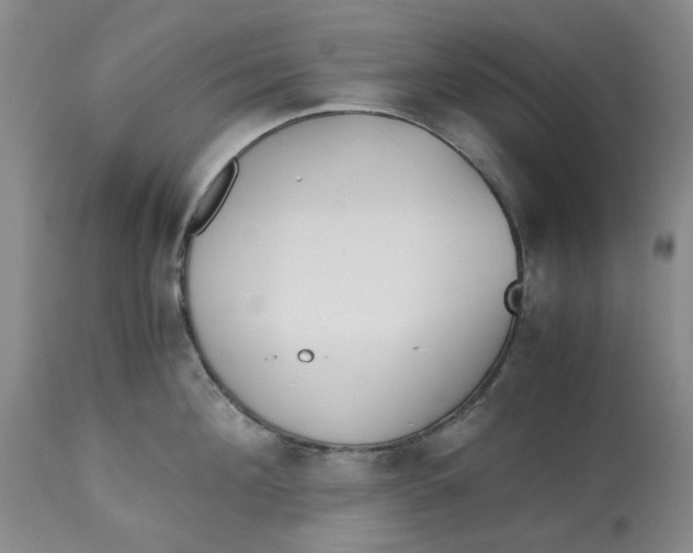 X0000113170908200909251414