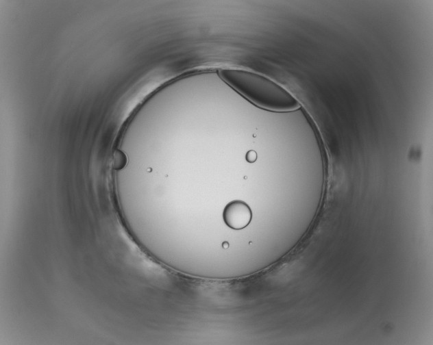 X0000113170909200909251414