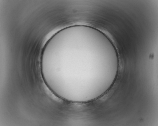 X0000113170910200909251414