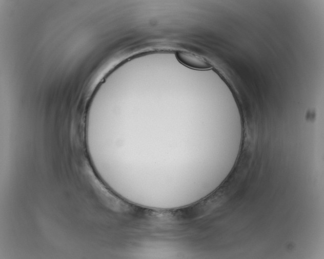 X0000113170911200909251414