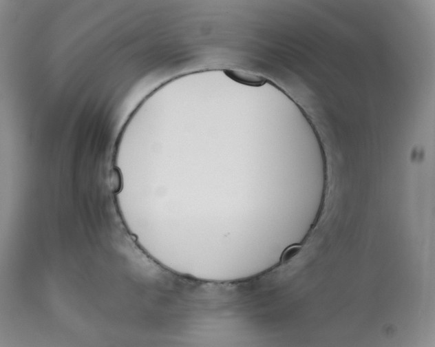 X0000113170912200909251414