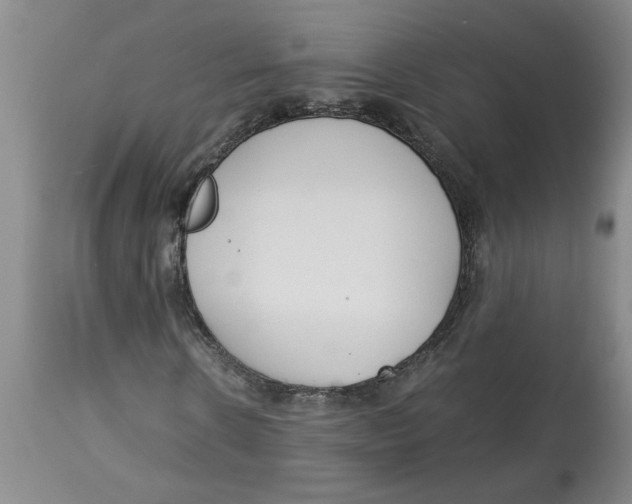 X0000113170914200909251413