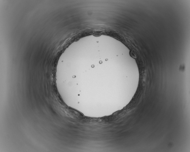 X0000113170916200909251413