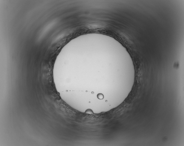 X0000113170917200909251413