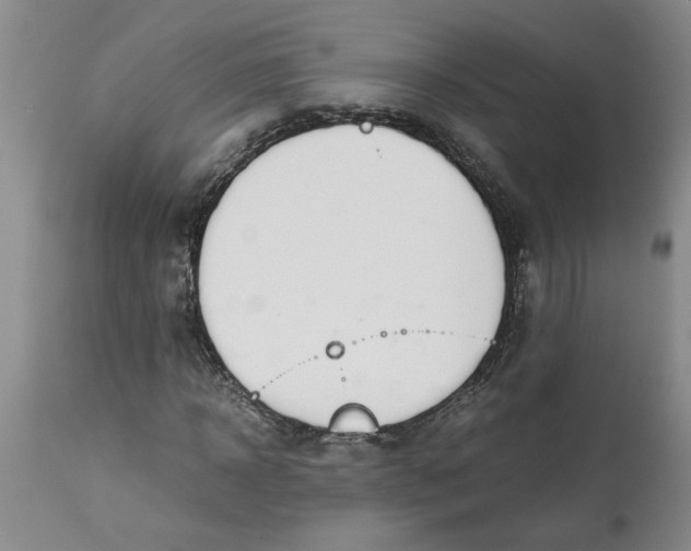 X0000113170918200909251413