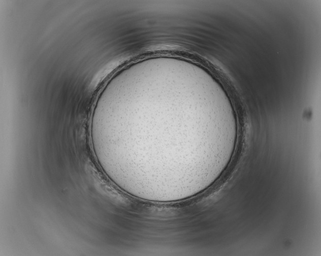 X0000113170921200909251413