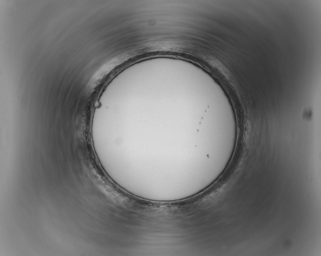 X0000113170922200909251413