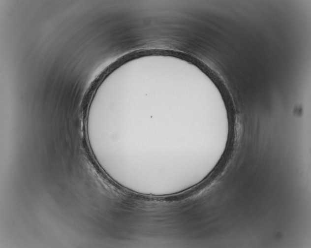 X0000113170925200909251413