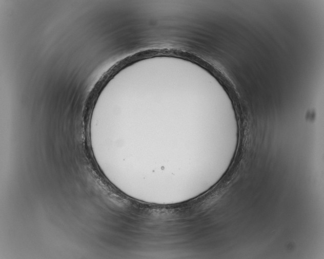 X0000113170927200909251413