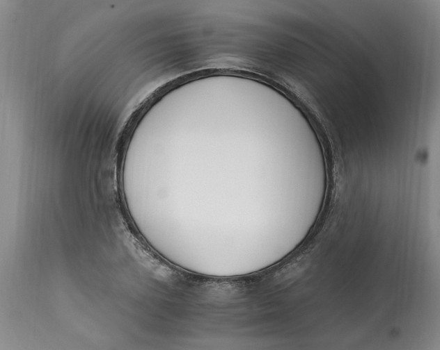 X0000113170931200909251413