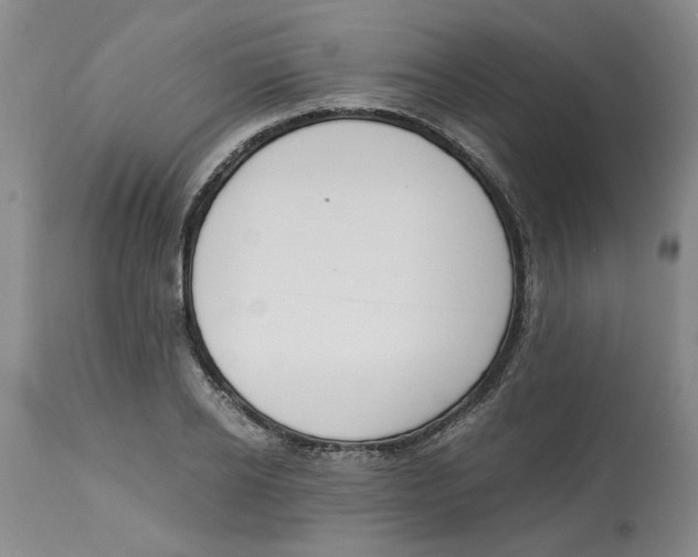 X0000113170934200909251413