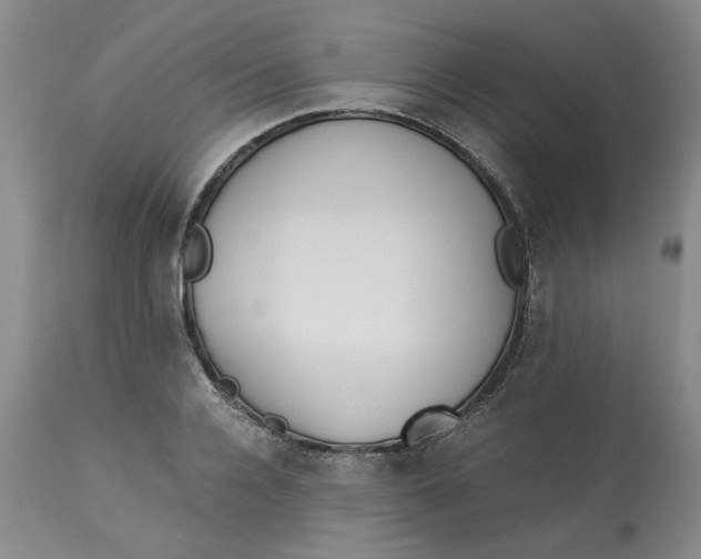 X0000113170936200909251413