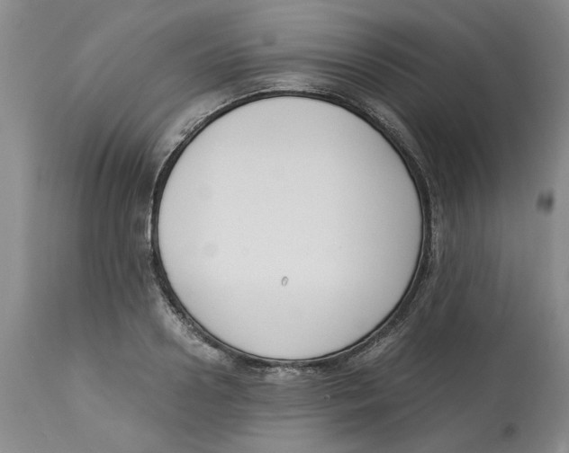 X0000113170938200909251413