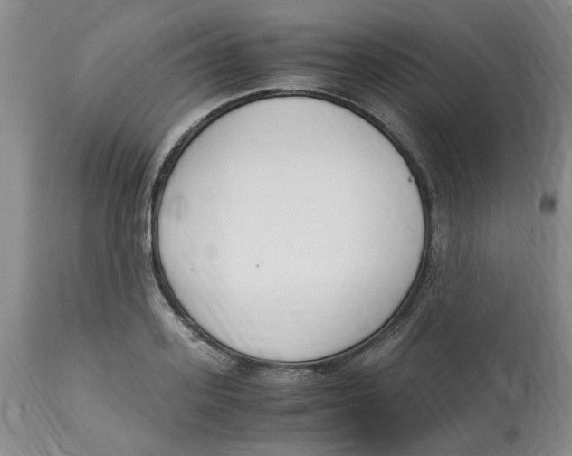 X0000113170939200909251413