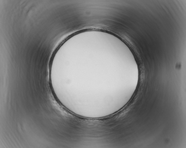 X0000113170940200909251413