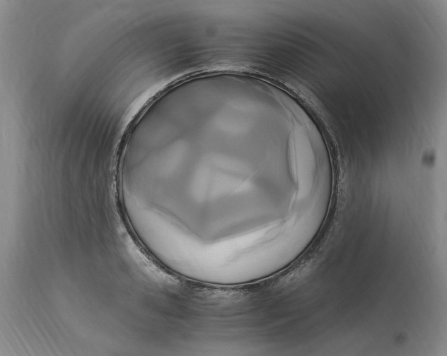 X0000113170941200909251413