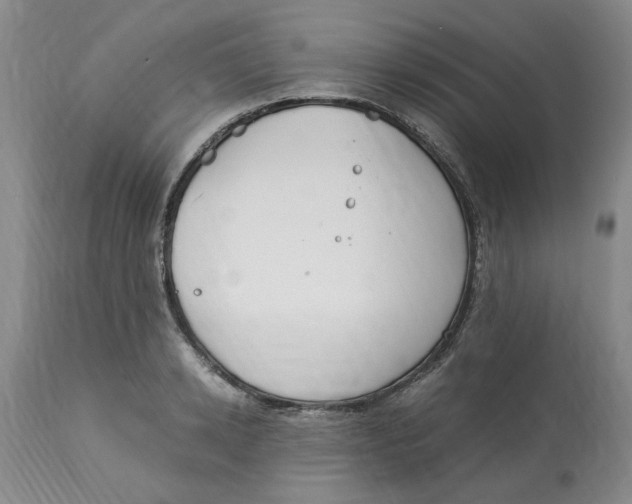 X0000113170942200909251413