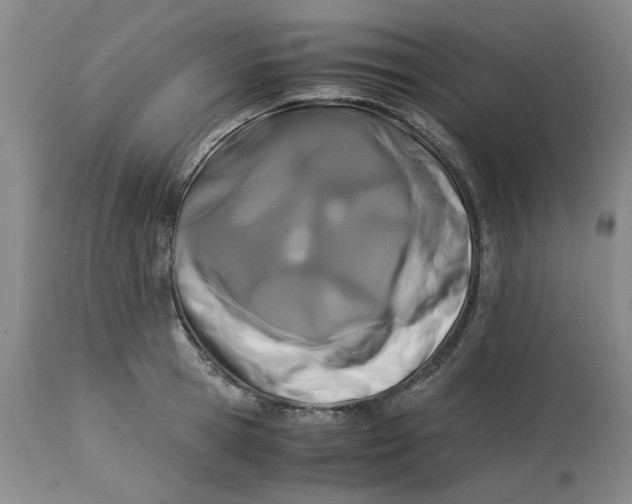 X0000113170945200909251413