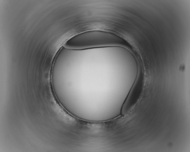 X0000113170946200909251413