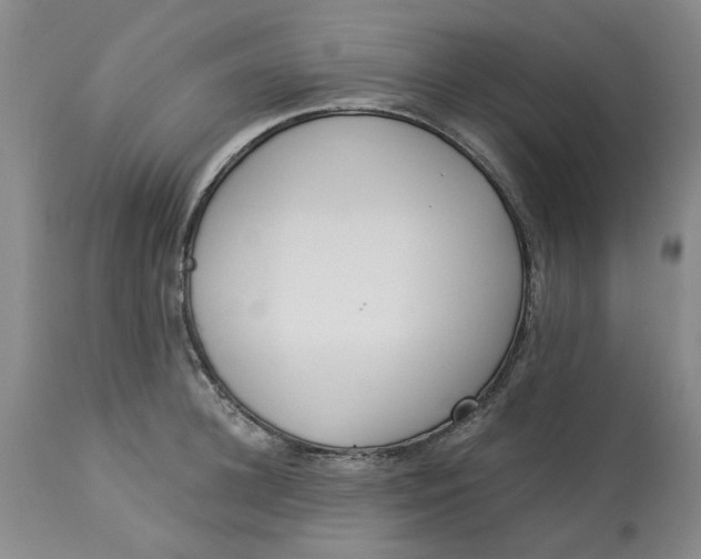 X0000113170948200909251414